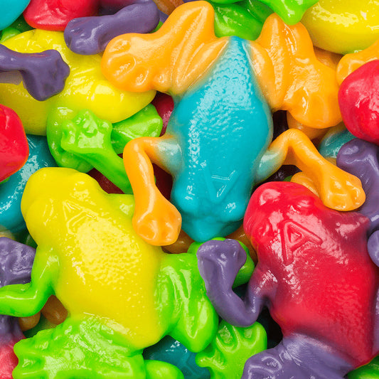 Rainforest Frogs