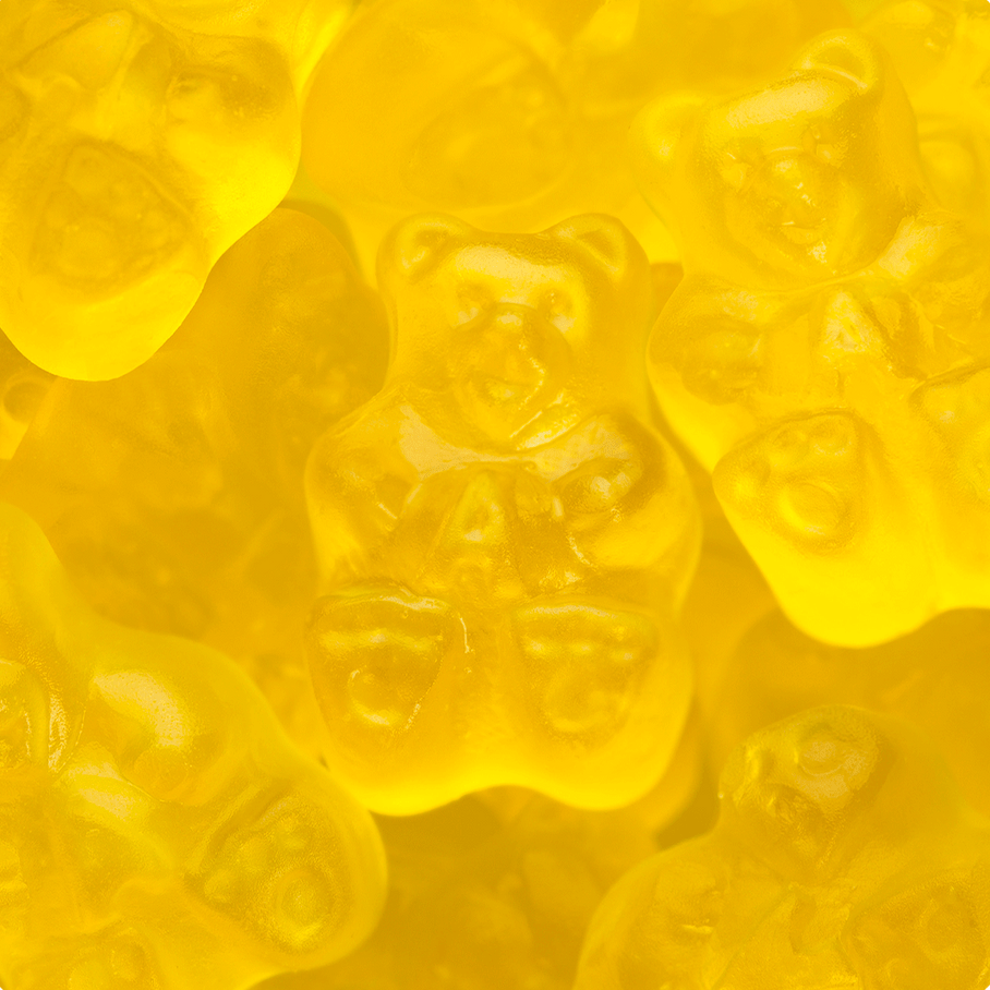 Mango Bears