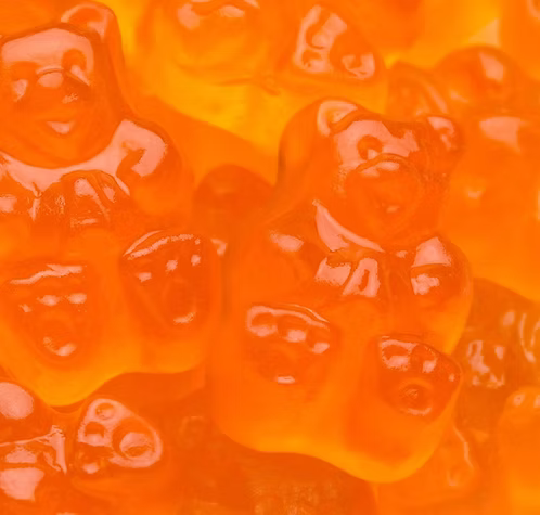 Orange Bears