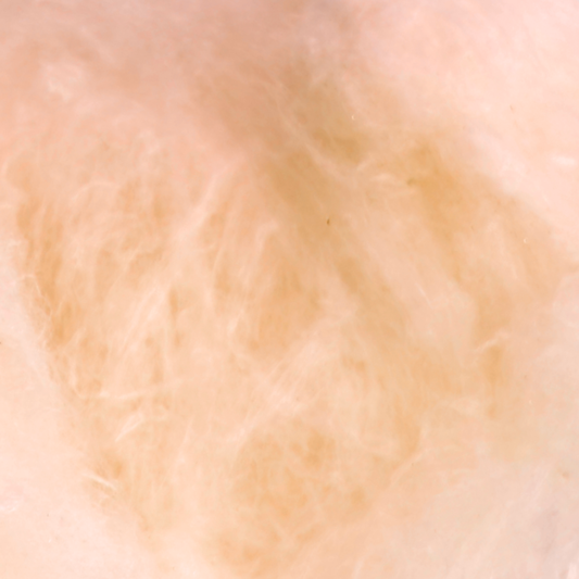Orange Dreamsicle Cotton Candy